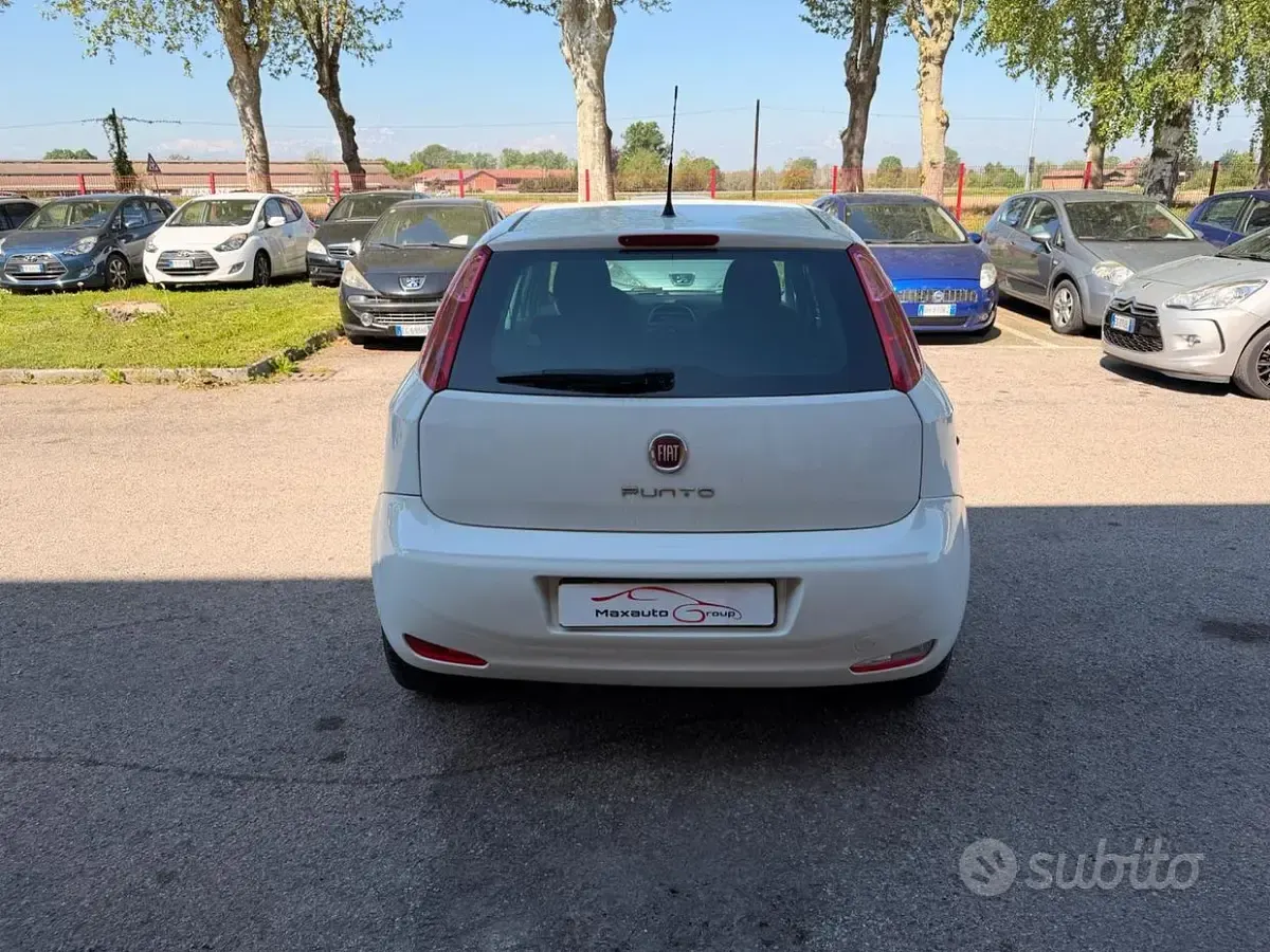 Usata Fiat Punto Lounge 85 CV (62 kW) 2015 Bianco Utilitaria