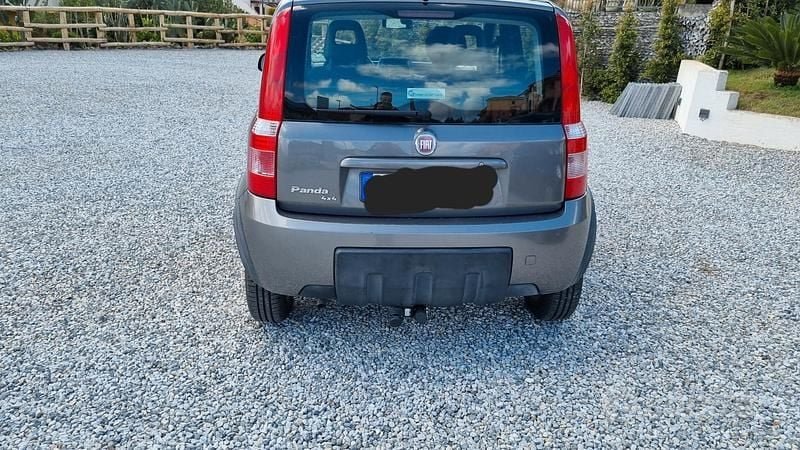 Usata Fiat Panda 4x4 2011 Grigio Utilitaria