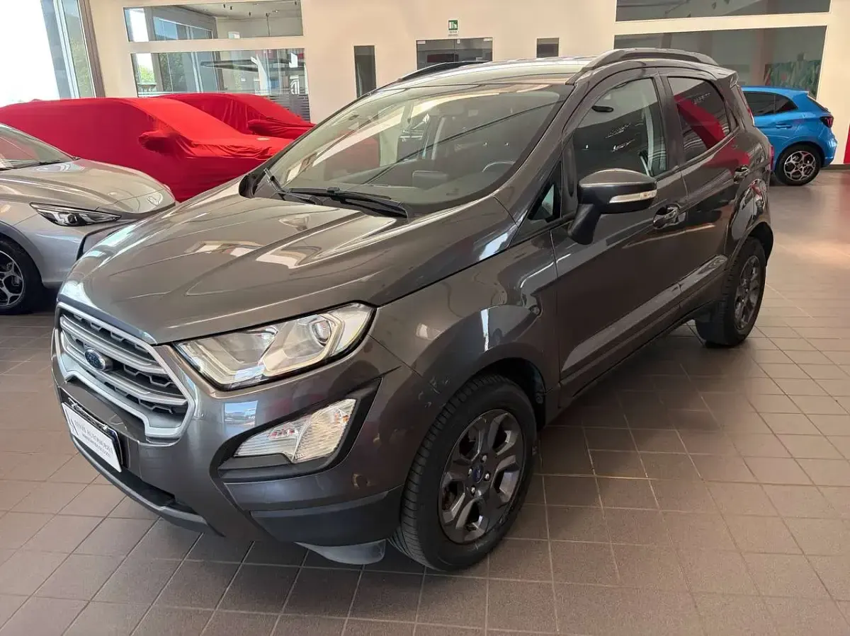 Usata Ford Ecosport 125 CV (91 kW) 2018 Grigio SUV