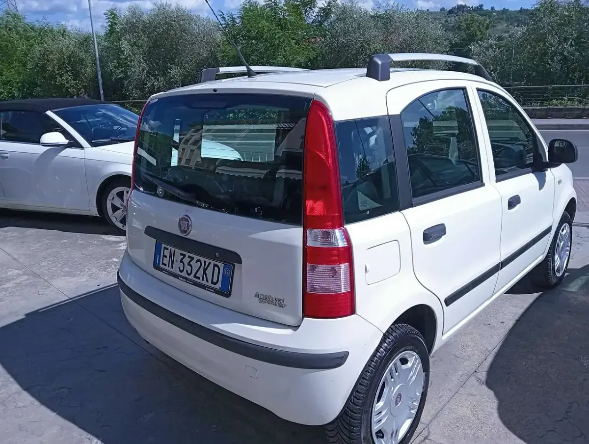 Usata Fiat Panda Dynamic 77 CV (56 kW) 2012 Bianco Utilitaria