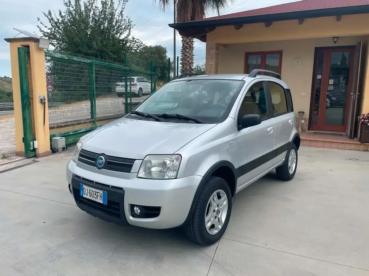 Usata Fiat Panda 4x4 69 CV (50 kW) 2007 Grigio Utilitaria
