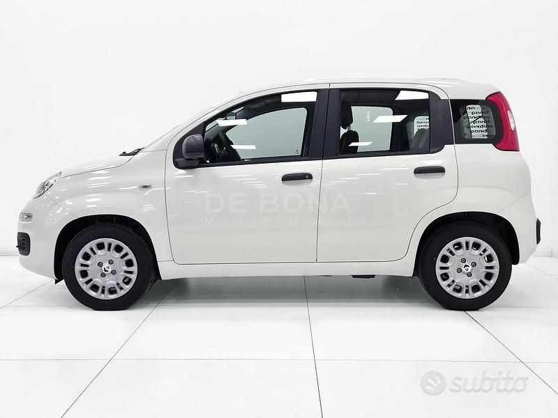 Nuova Fiat Panda Icon 70 CV (51 kW) 2025 Bianco Utilitaria