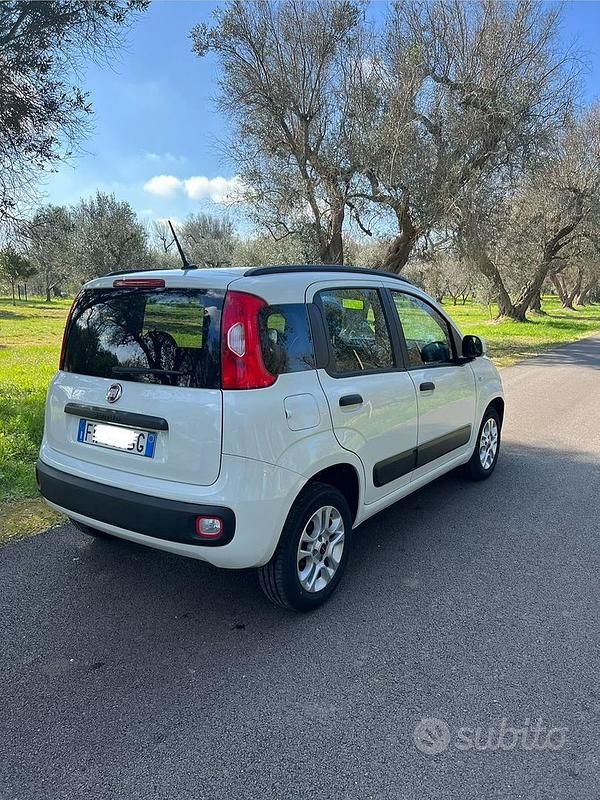 Usata Fiat Panda 2019 Bianco Utilitaria