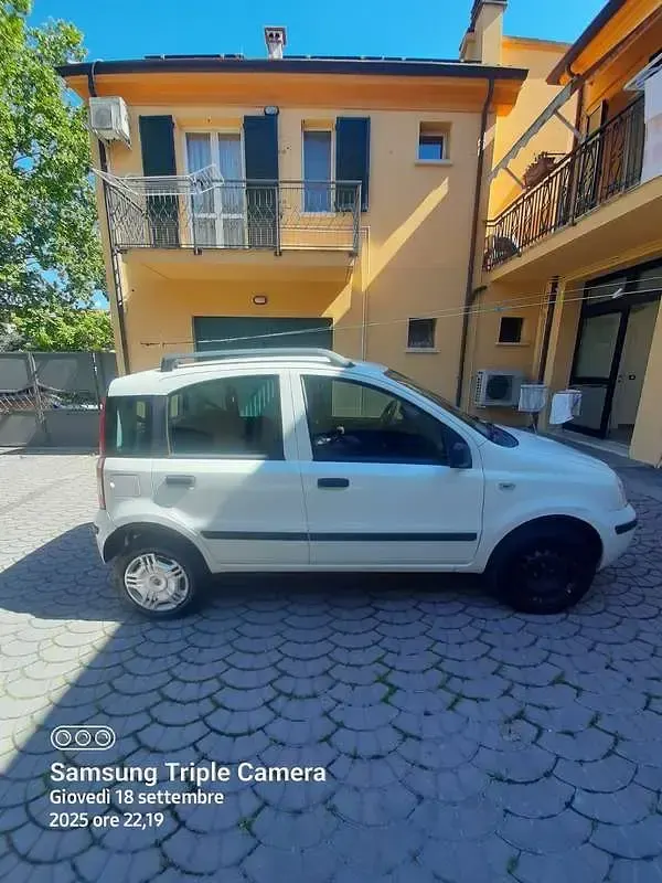 Usata Fiat Panda Dynamic 60 CV (44 kW) 2009 Bianco Utilitaria