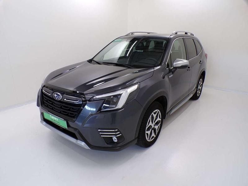 Usata Subaru Forester Style 150 CV (110 kW) 2023 Grigio mag SUV