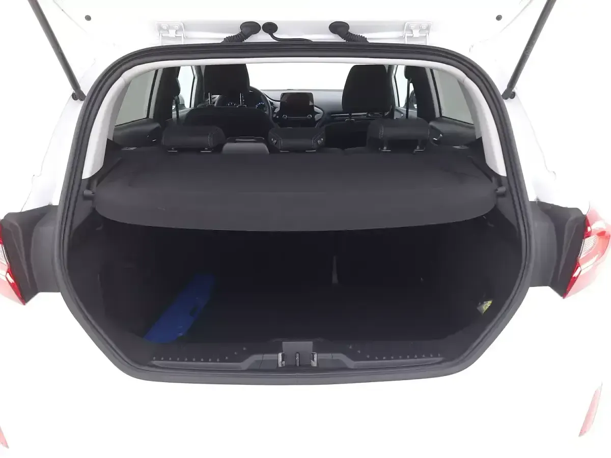 Usata Ford Fiesta Titanium 86 CV (63 kW) 2019 Biancobianco Utilitaria
