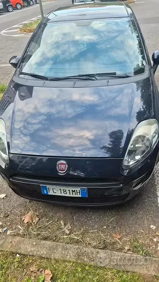 Usata Fiat Punto 69 CV (50 kW) 2016 Blu Utilitaria