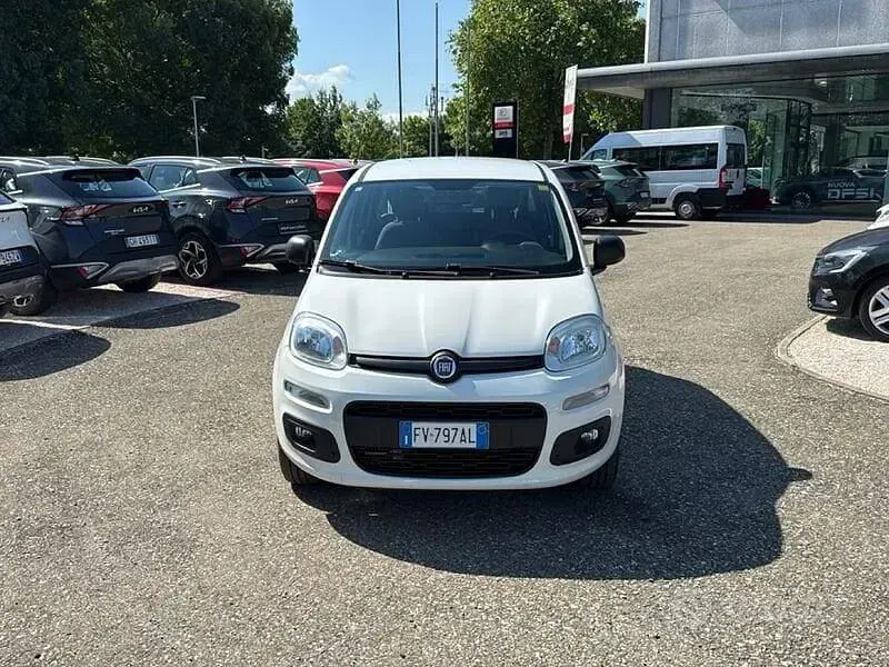 Usata Fiat Panda Easy 70 CV (51 kW) 2019 Bianco Utilitaria