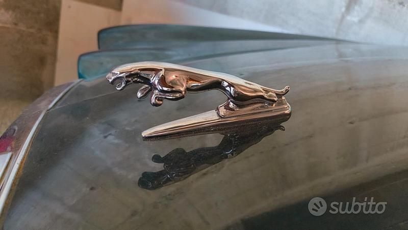 Verde Usata 1986 Jaguar XJ6 Tre volumi | 21.000 € - Immagine 1/4