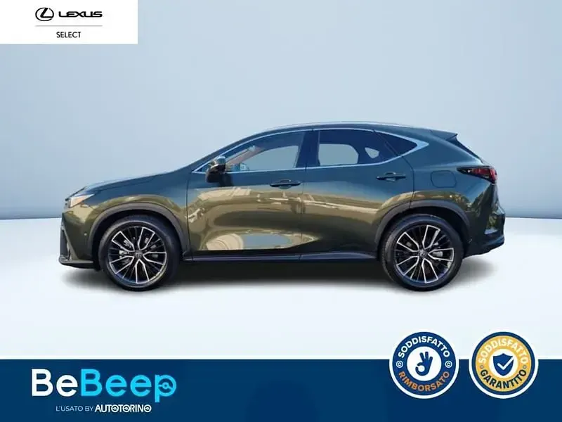Usata Lexus NX450h+ Luxury Line 308 CV (226 kW) 2023 Verde metallizzato SUV