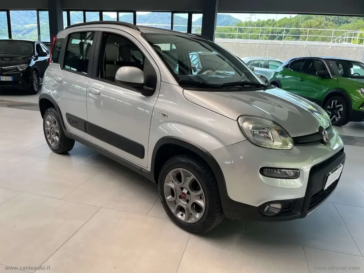 Usata Fiat Panda 4x4 S 95 CV (69 kW) 2016 Argento Utilitaria