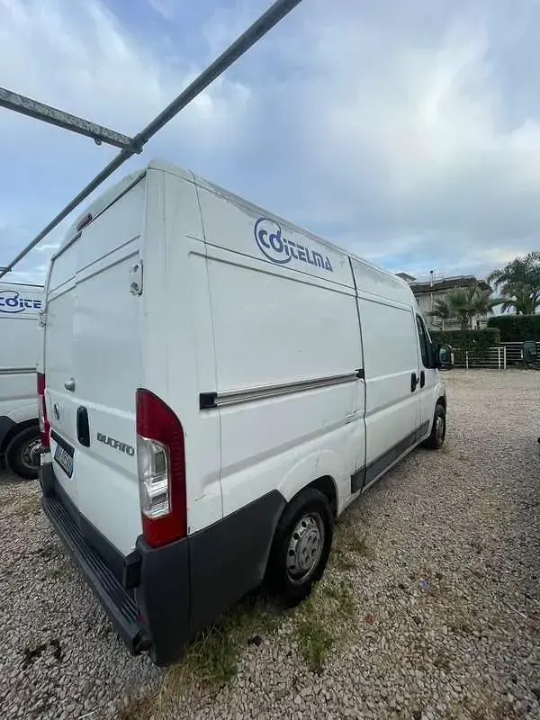 Usata Fiat Ducato 120 CV (88 kW) 2008 Bianco Furgone