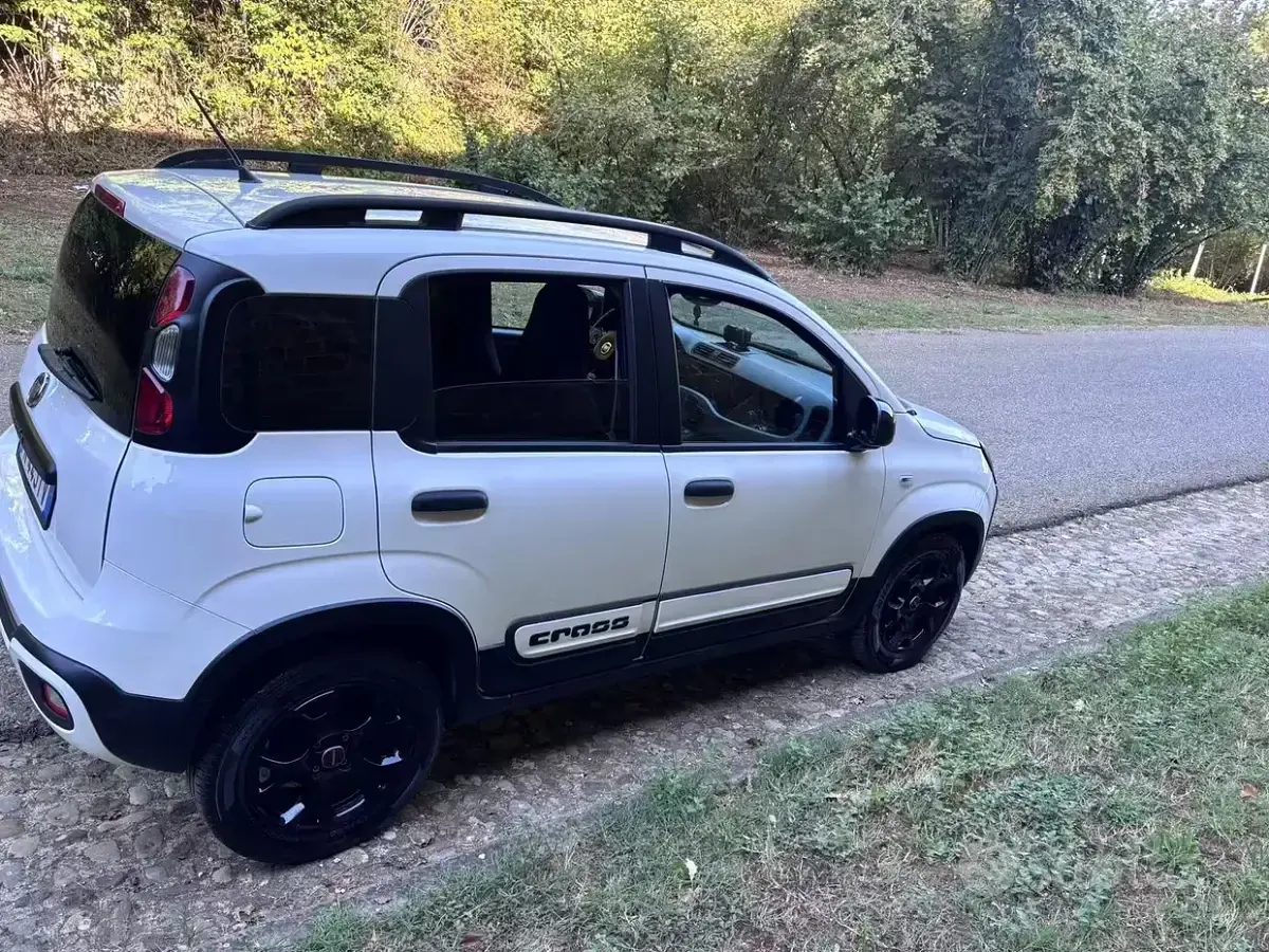 Usata Fiat Panda Cross Cross 95 CV (69 kW) 2018 Bianco Utilitaria