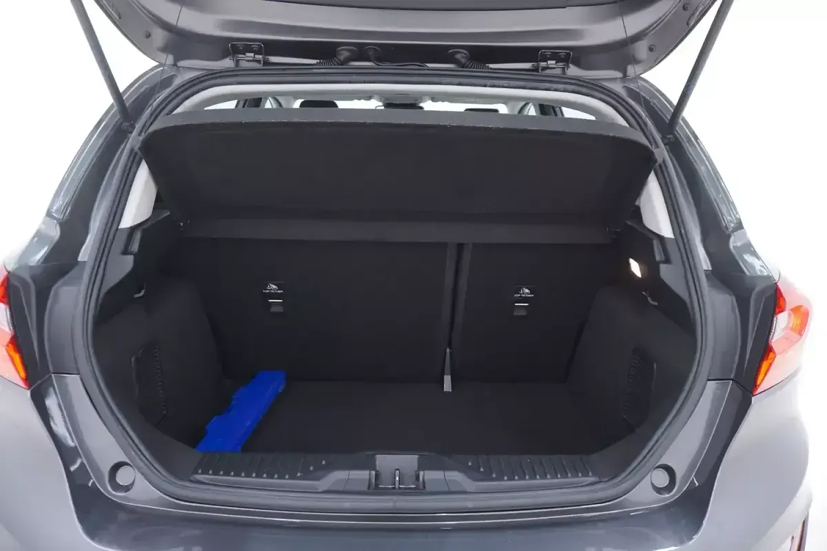 Usata Ford Fiesta Titanium 125 CV (91 kW) 2021 Grigiogrigio Utilitaria
