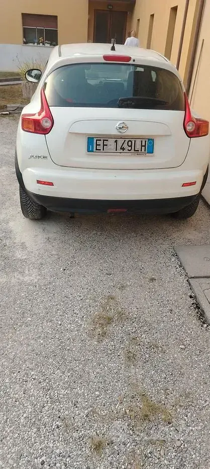 Usata Nissan Juke 110 CV (80 kW) 2010 Bianco SUV