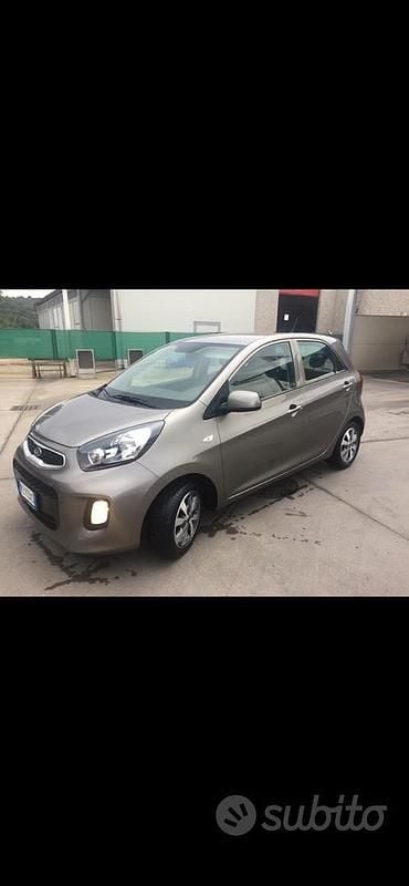 Usata Kia Picanto 66 CV (48 kW) 2016 Grigio Utilitaria