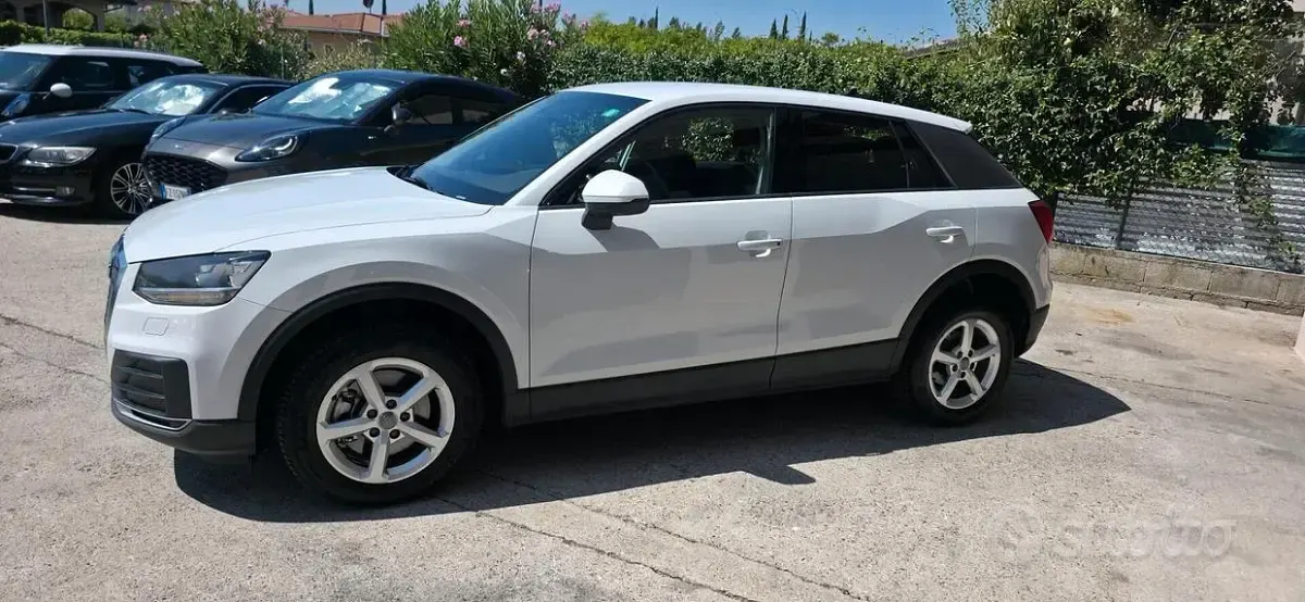 Usata Audi Q2 Business 116 CV (85 kW) 2019 Bianco SUV
