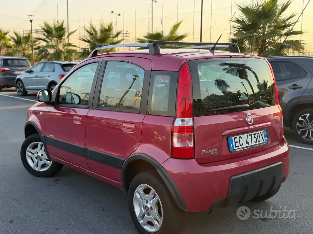 Usata Fiat Panda 4x4 75 CV (55 kW) 2011 Verde Utilitaria