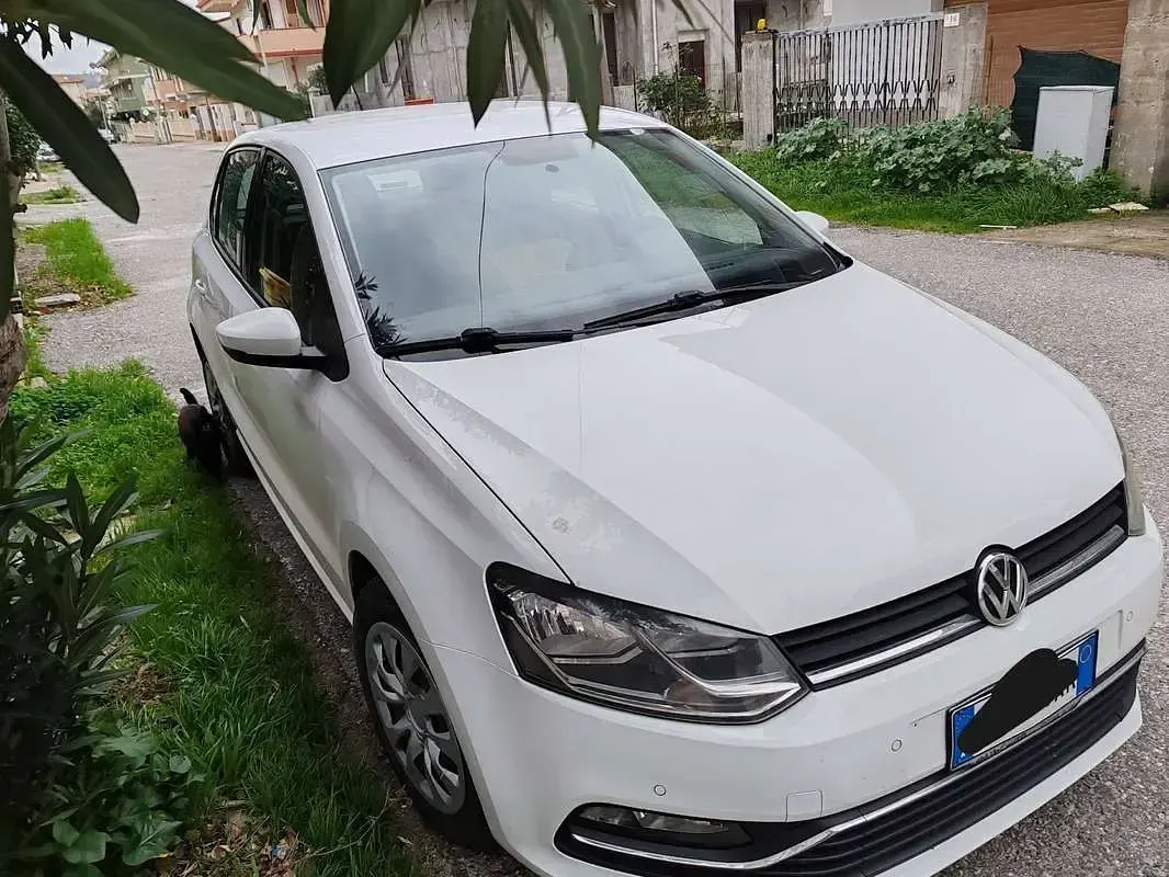 Usata VW Polo Comfortline 90 CV (66 kW) 2015 Bianco Berlina