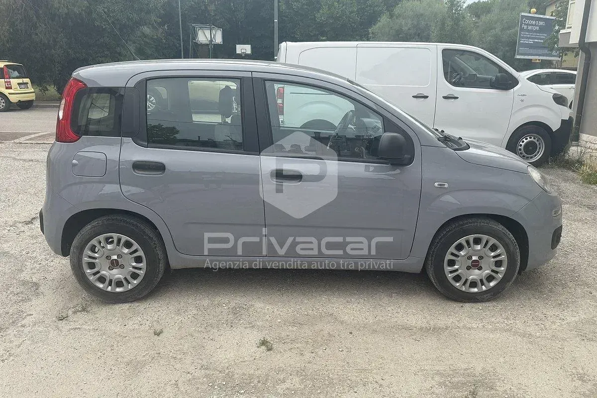 Usata Fiat Panda S 70 CV (51 kW) 2021 Grigio Utilitaria