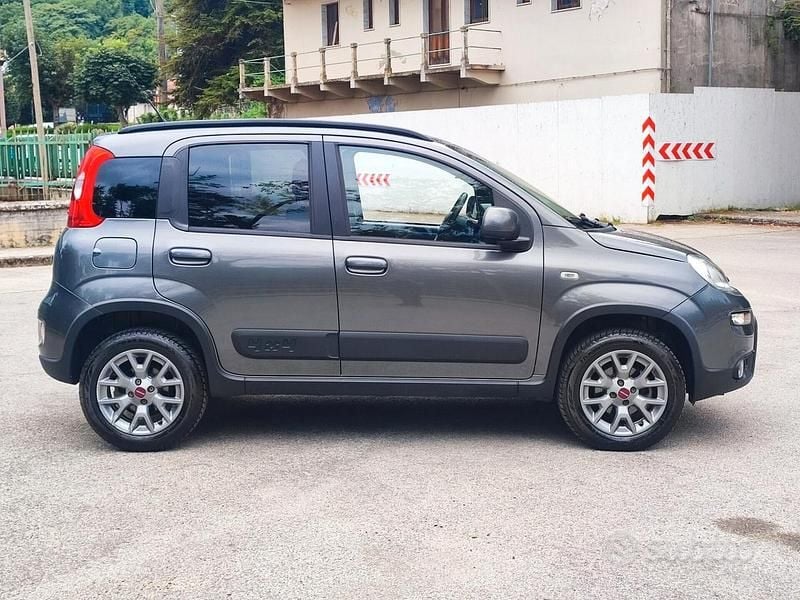 Usata Fiat Panda 4x4 S 95 CV (69 kW) 2018 Grigio Utilitaria