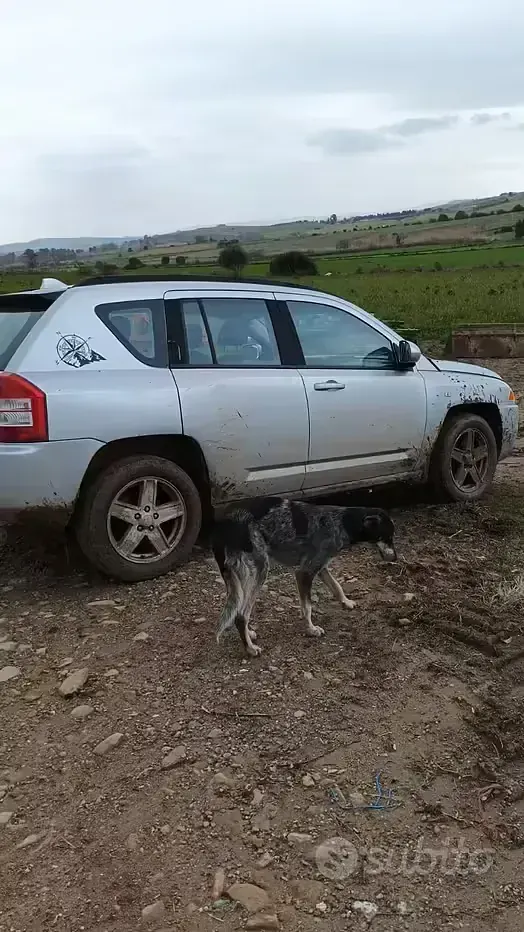 Usata Jeep Compass 140 CV (102 kW) 2009 Grigio SUV
