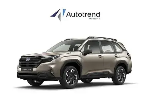 Nuova Subaru Forester 150 CV (110 kW) 2025 Bianco SUV