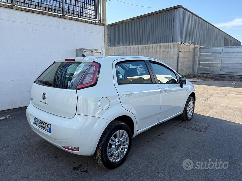 Usata Fiat Punto Lounge 77 CV (56 kW) 2014 Bianco Utilitaria