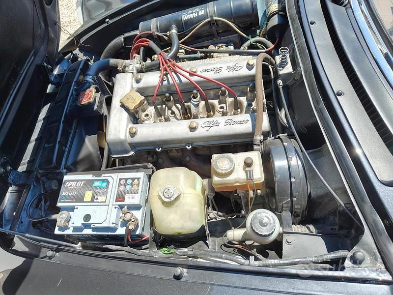 Usata Alfa Romeo Spider 104 CV (76 kW) 1982 Nero Cabrio