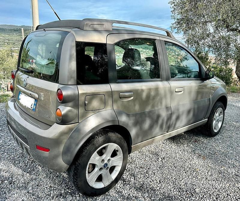 Usata Fiat Panda Cross Cross 2006 Utilitaria
