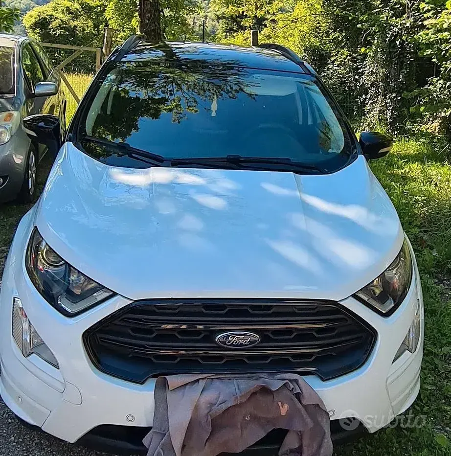 Usata Ford Ecosport ST-Line 99 CV (72 kW) 2018 Bianco SUV