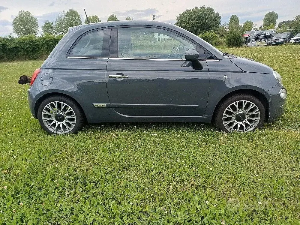 Usata Fiat 500 Lounge 69 CV (50 kW) 2018 Grigio Berlina