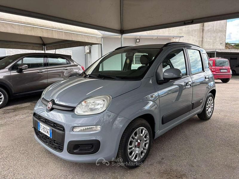 Usata Fiat Panda Easy 69 CV (50 kW) 2019 Grigio Utilitaria
