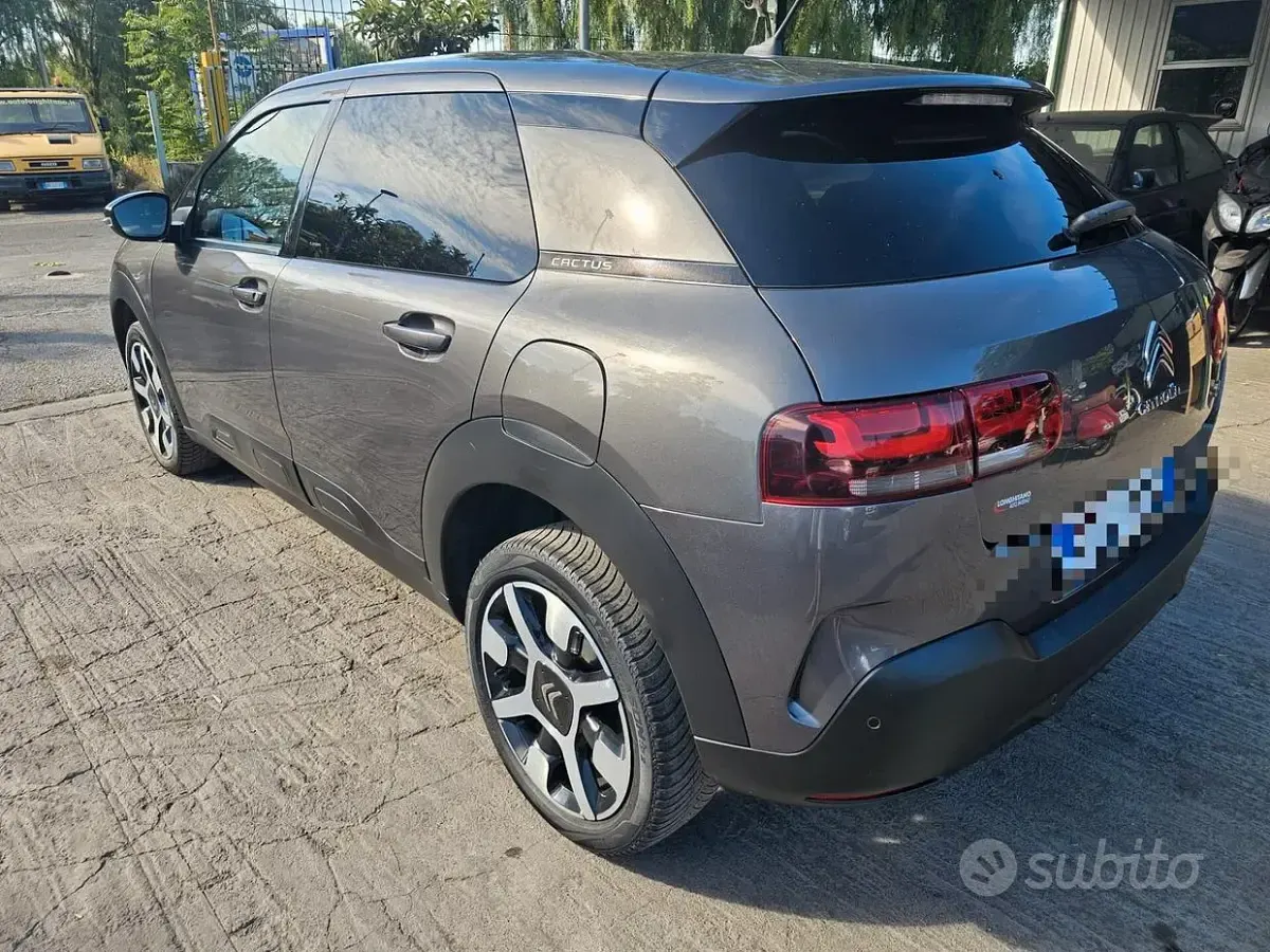Usata Citroën C4 Feel 110 CV (80 kW) 2019 Grigio Berlina