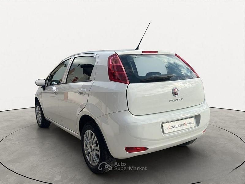 Usata Fiat Punto Lounge 77 CV (56 kW) 2016 Bianco Berlina