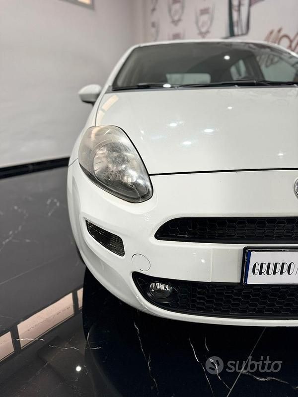 Usata Fiat Punto Lounge 85 CV (62 kW) 2014 Bianco Utilitaria