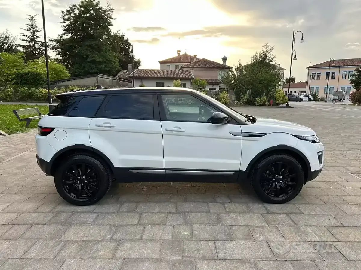 Usata Land Rover Range Rover evoque 150 CV (110 kW) 2016 Bianco SUV