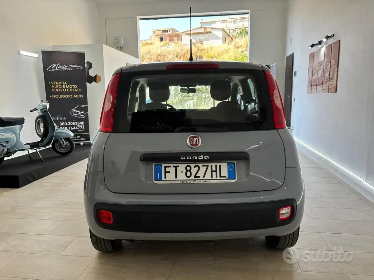 Usata Fiat Panda Easy 69 CV (50 kW) 2019 Grigio Utilitaria