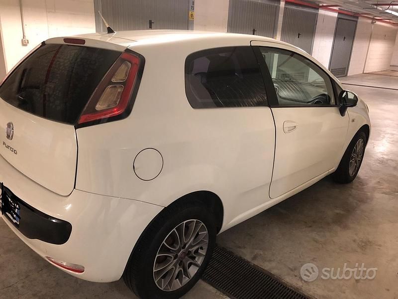 Usata Fiat Punto Evo 75 CV (55 kW) 2011 Bianco Utilitaria