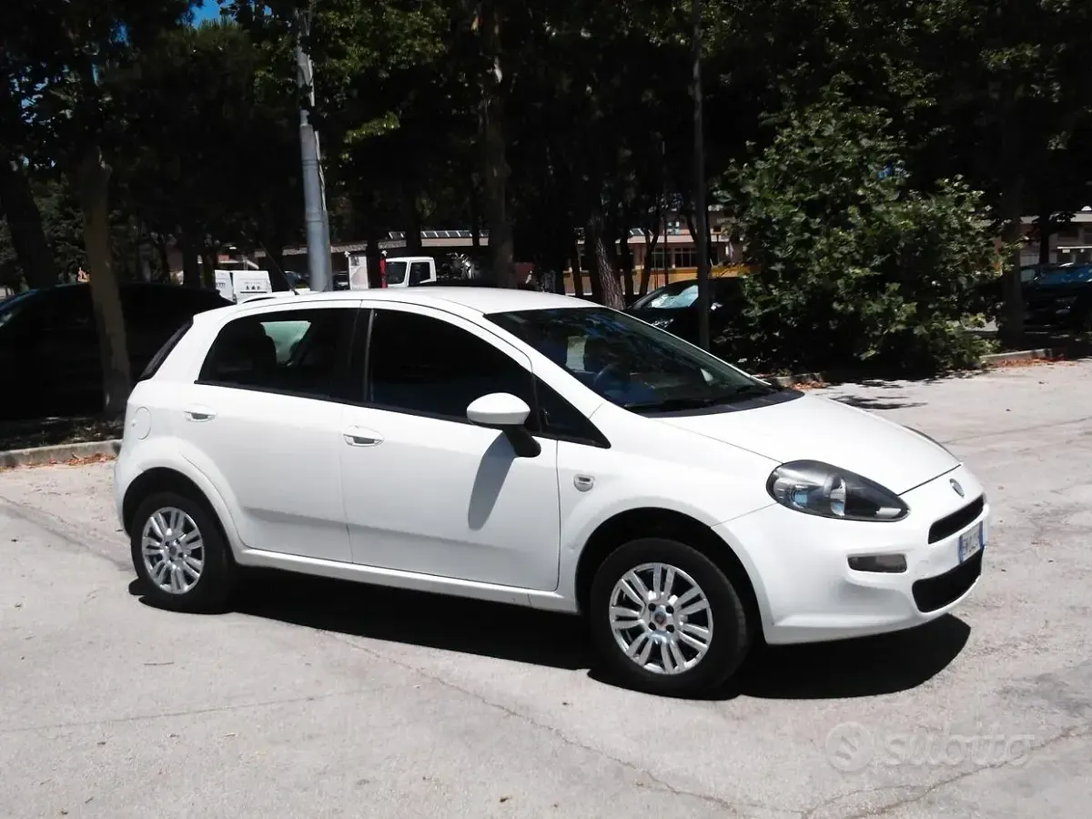 Usata Fiat Punto Evo 69 CV (50 kW) 2013 Utilitaria