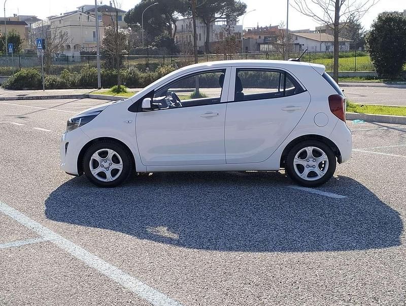 Usata Kia Picanto Urban 65 CV (47 kW) 2021 Bianco Utilitaria