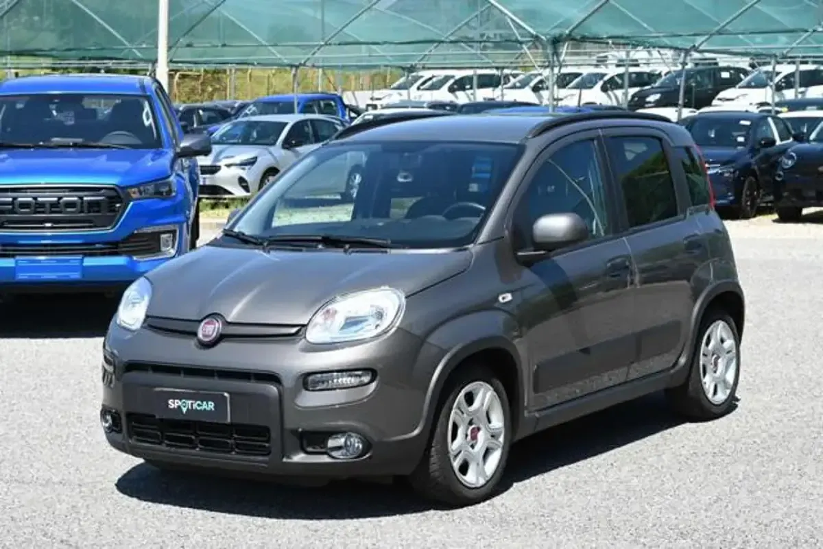 Usata Fiat Panda City Life 69 CV (50 kW) 2023 Utilitaria