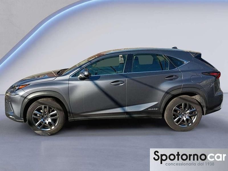 Usata Lexus NX300h Business Edition 197 CV (144 kW) 2020 Grigio SUV