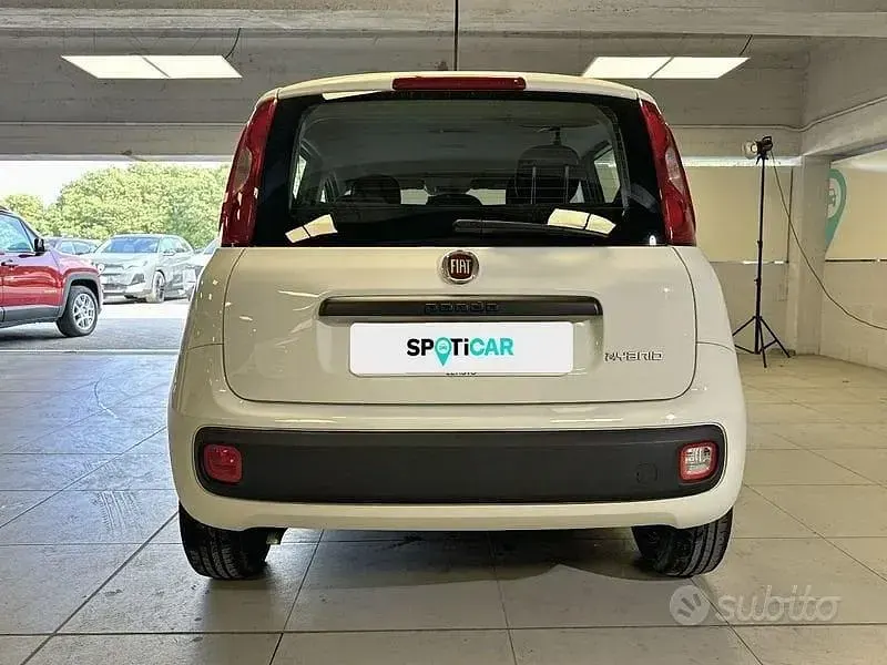 Usata Fiat Panda S 70 CV (51 kW) 2021 Bianco Utilitaria