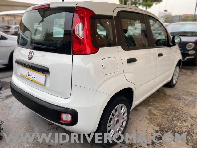 Usata Fiat Panda Easy Plus 69 CV (50 kW) 2020 Bianco Utilitaria