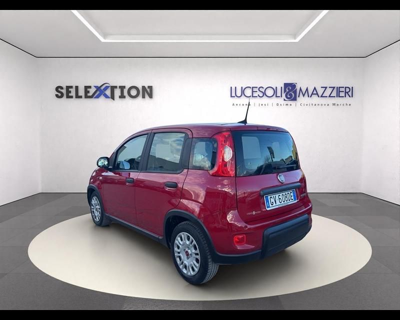Usata Fiat Panda 70 CV (51 kW) 2024 Rosso Utilitaria