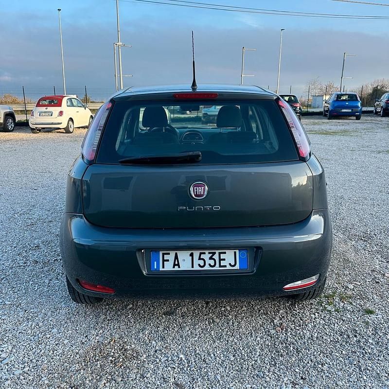 Usata Fiat Punto Lounge 85 CV (62 kW) 2013 Grigio Berlina