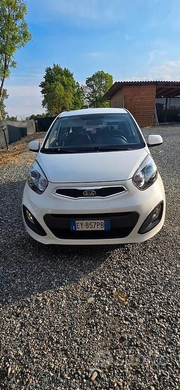 Usata Kia Picanto 67 CV (49 kW) 2015 Bianco Utilitaria