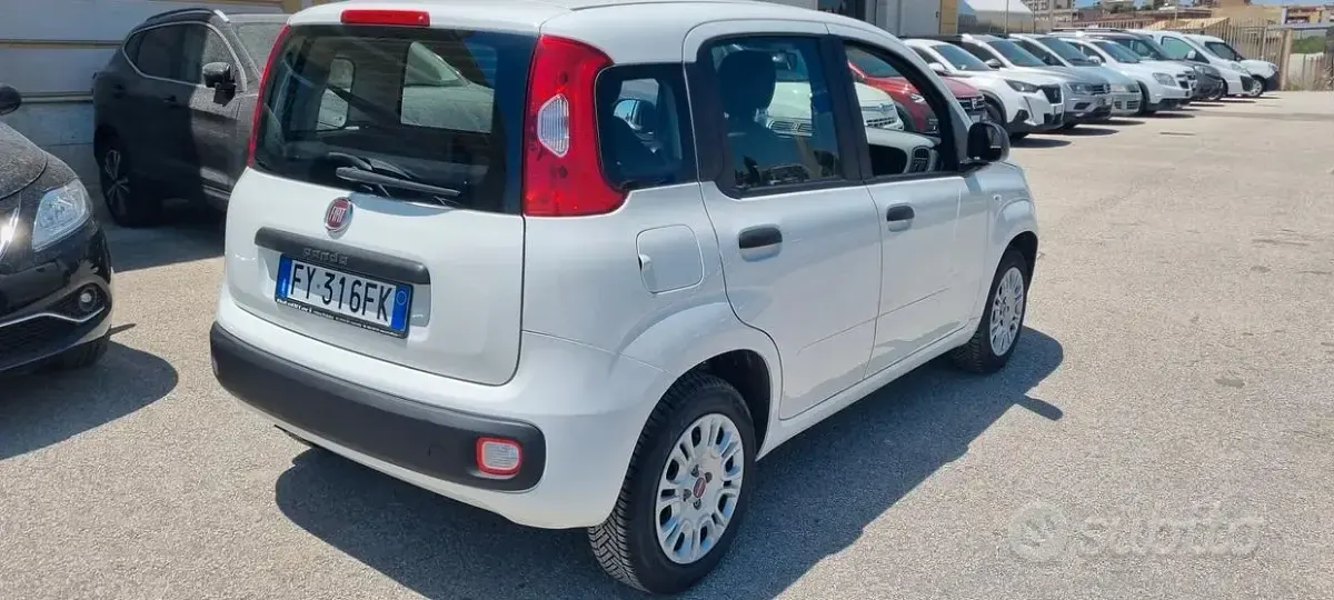 Usata Fiat Panda 69 CV (50 kW) 2019 Bianco Utilitaria