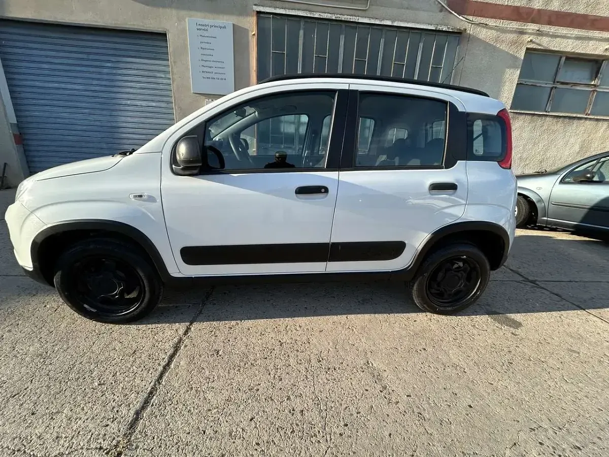 Usata Fiat Panda 4x4 S 86 CV (63 kW) 2019 Other Utilitaria